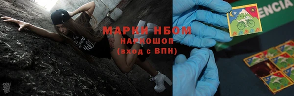 ГАЛЛЮЦИНОГЕННЫЕ ГРИБЫ Аркадак