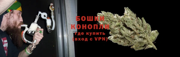 ГАЛЛЮЦИНОГЕННЫЕ ГРИБЫ Аркадак