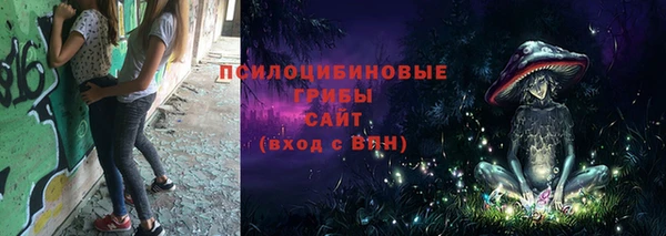 герыч Арсеньев