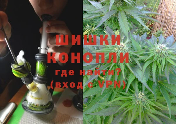 ГАЛЛЮЦИНОГЕННЫЕ ГРИБЫ Аркадак