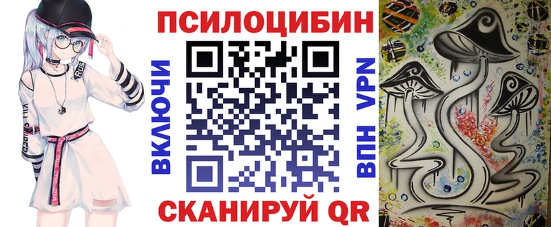 наркота  Болотное  Псилоцибиновые грибы Psilocybe 